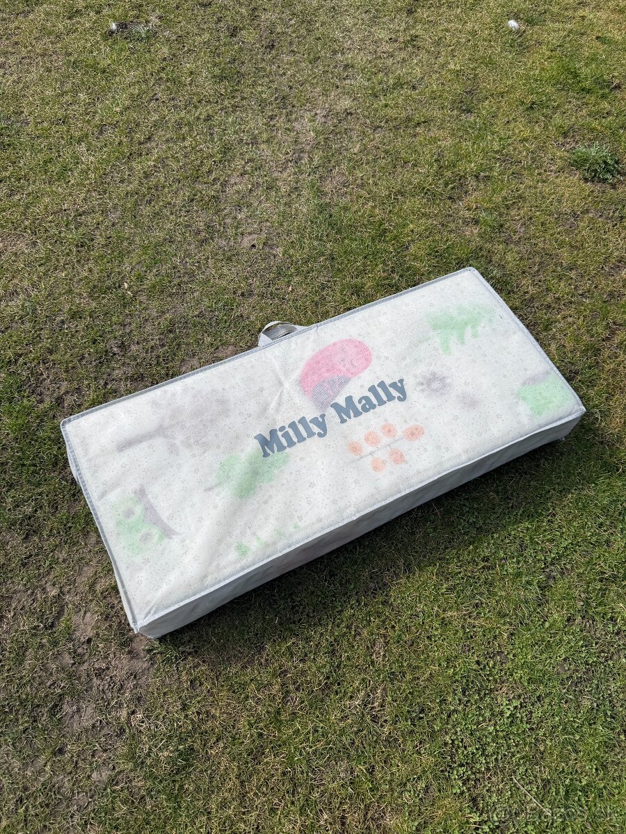 Hracia podložka - MILLY MALLY - 2