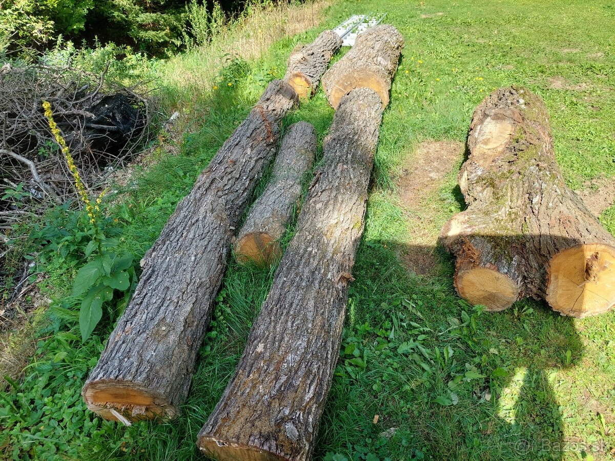 Predám vešiak z dubového dreva. - 2