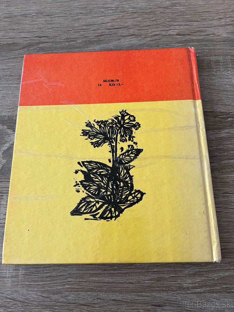 Hana Zelinová Jakubko - 2