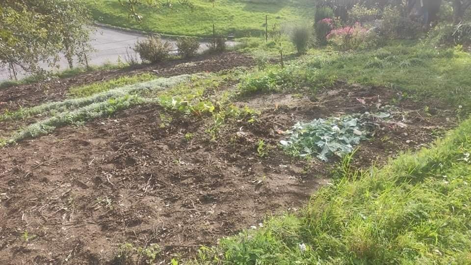 Prenájom záhradky - 2