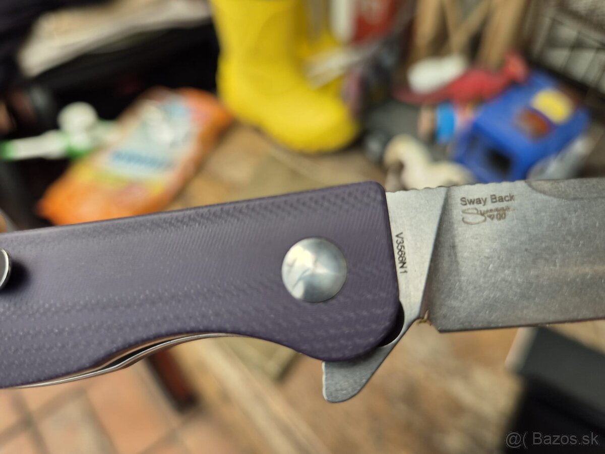 Kizer sway back - 2