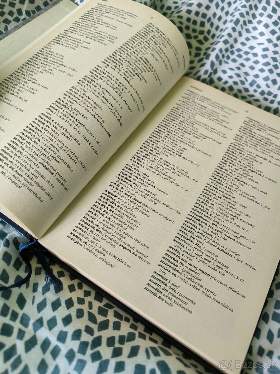 Latinsko-český a česko-latinský slovník - 2