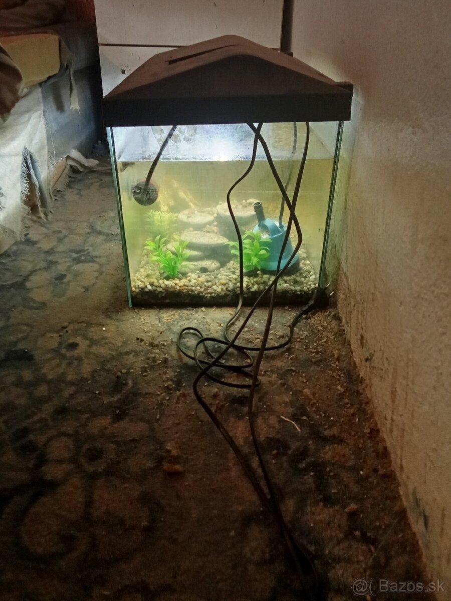 Predám dve akvária male a velke - 2