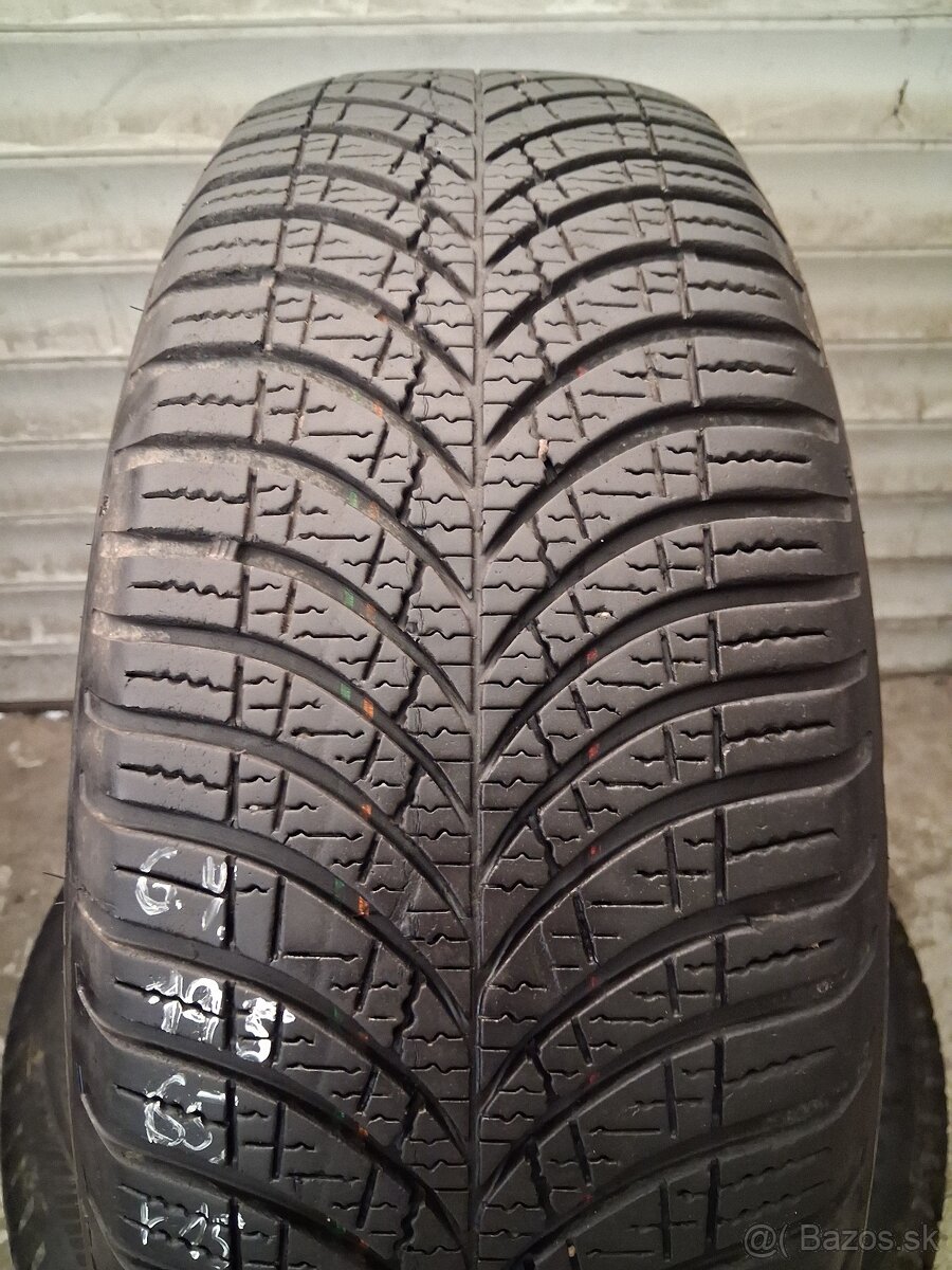 Goodyear celoročné 195/65/R15 - 2