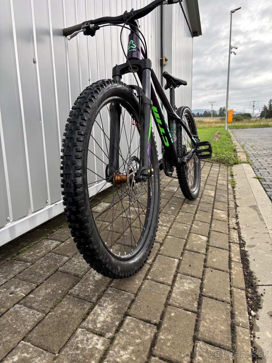 CTM raptor 1.0 2021 - 2