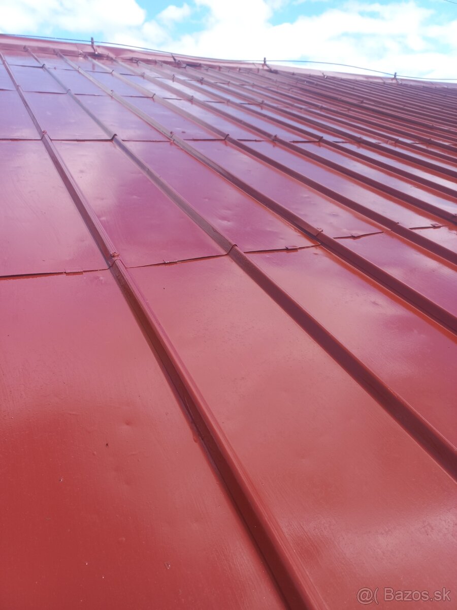✅️✅️✅️Nátery striech natieranie maľovanie N_15789 - 2