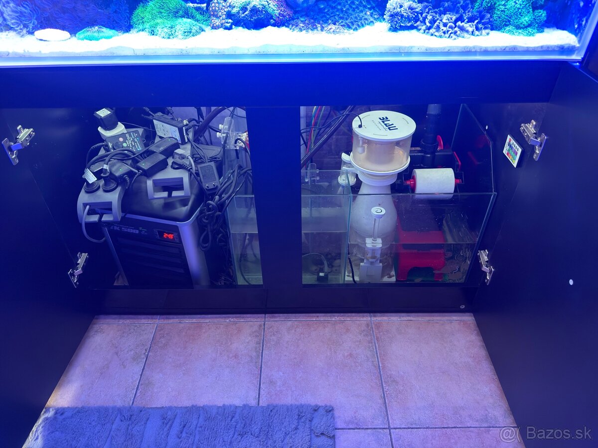 Morske akvarium dohodou - 2