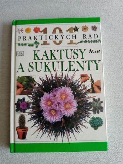 Kaktusy - 2
