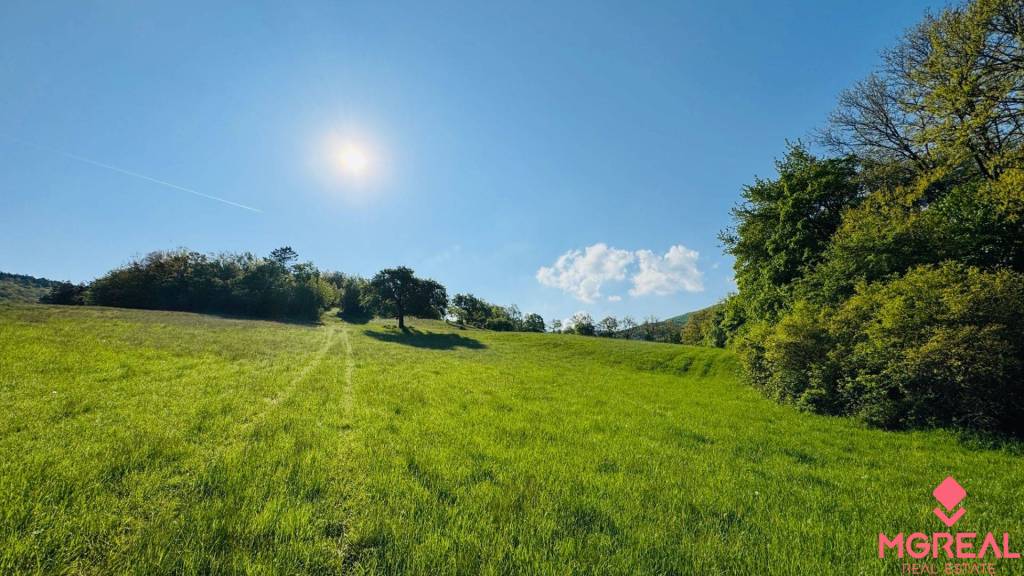 Na predaj výnimočný pozemok 6882 m² priamo v lese so začatou - 2