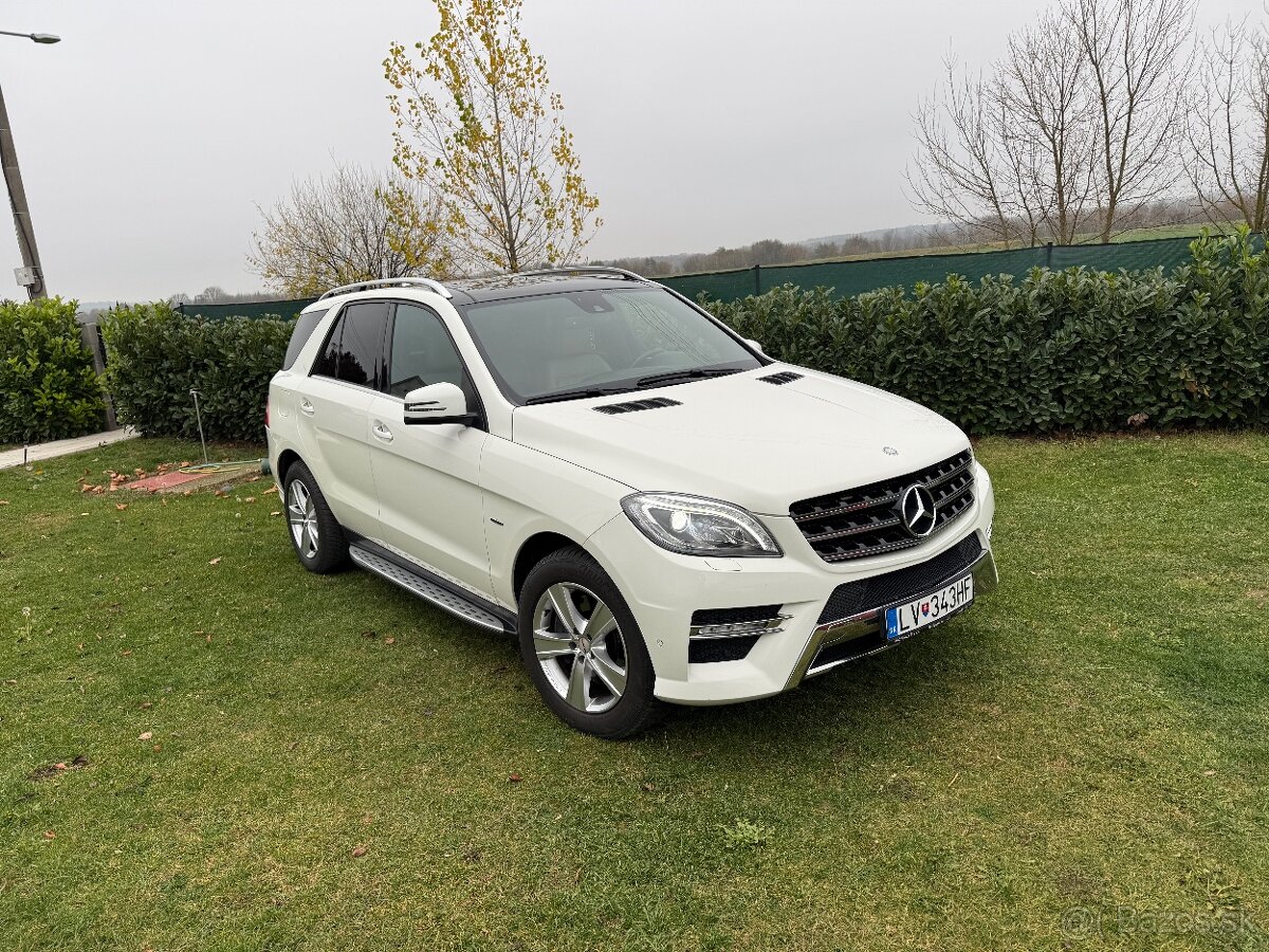 Mercedes Benz ML 250 4MATIC - 2