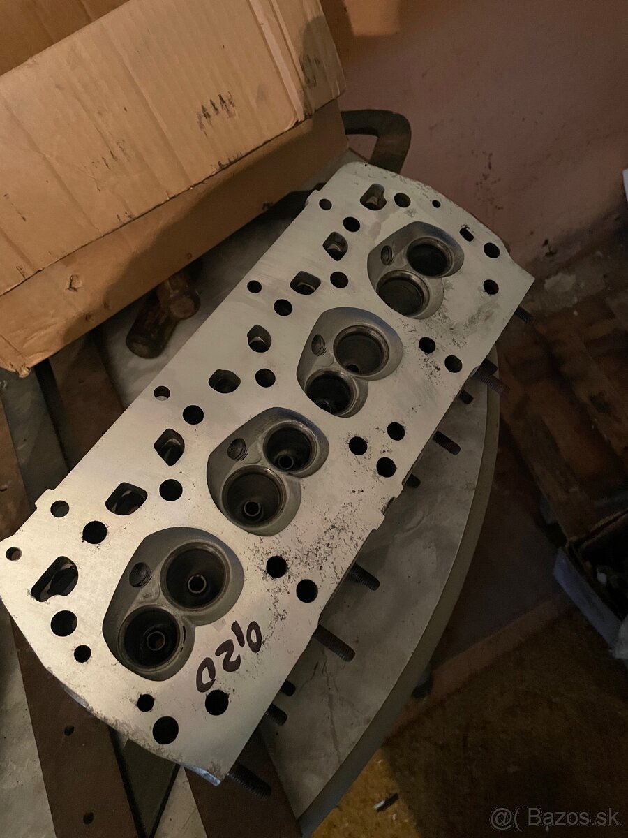 Hlava valcov felicia favorit - 2