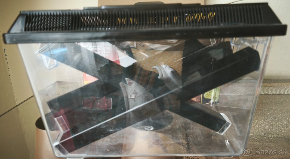 Predám box na hmyz - 2