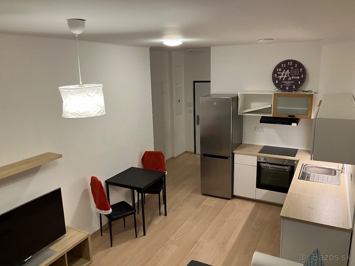 Prenájom 1.5 i byt s terasou/predzahradkou - 2