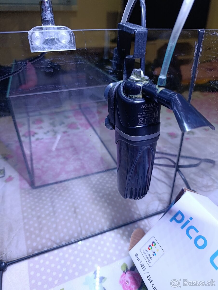 Akvarium pre začiatočníkov - 2