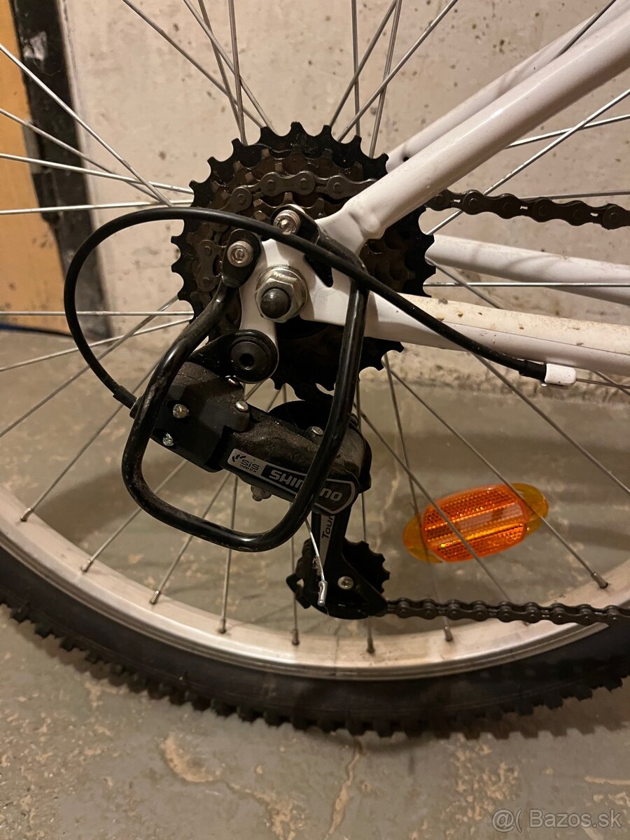 Rock Rider st 100 - 2