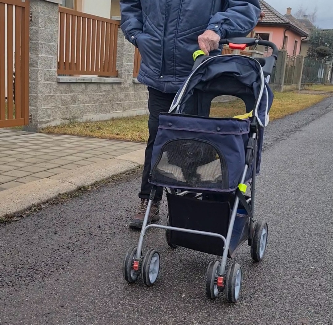 kočík pre psíka - 2