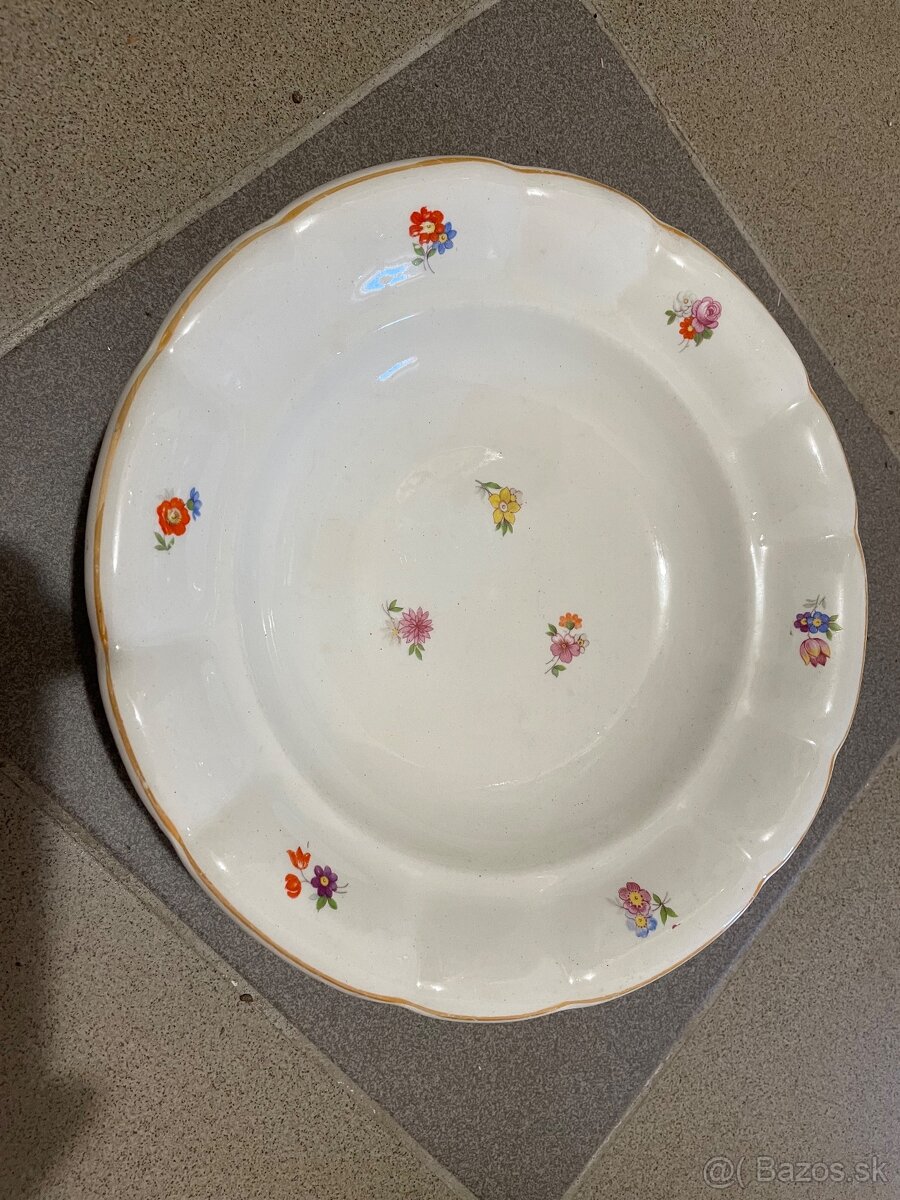 Taniere hrubostenne - 2