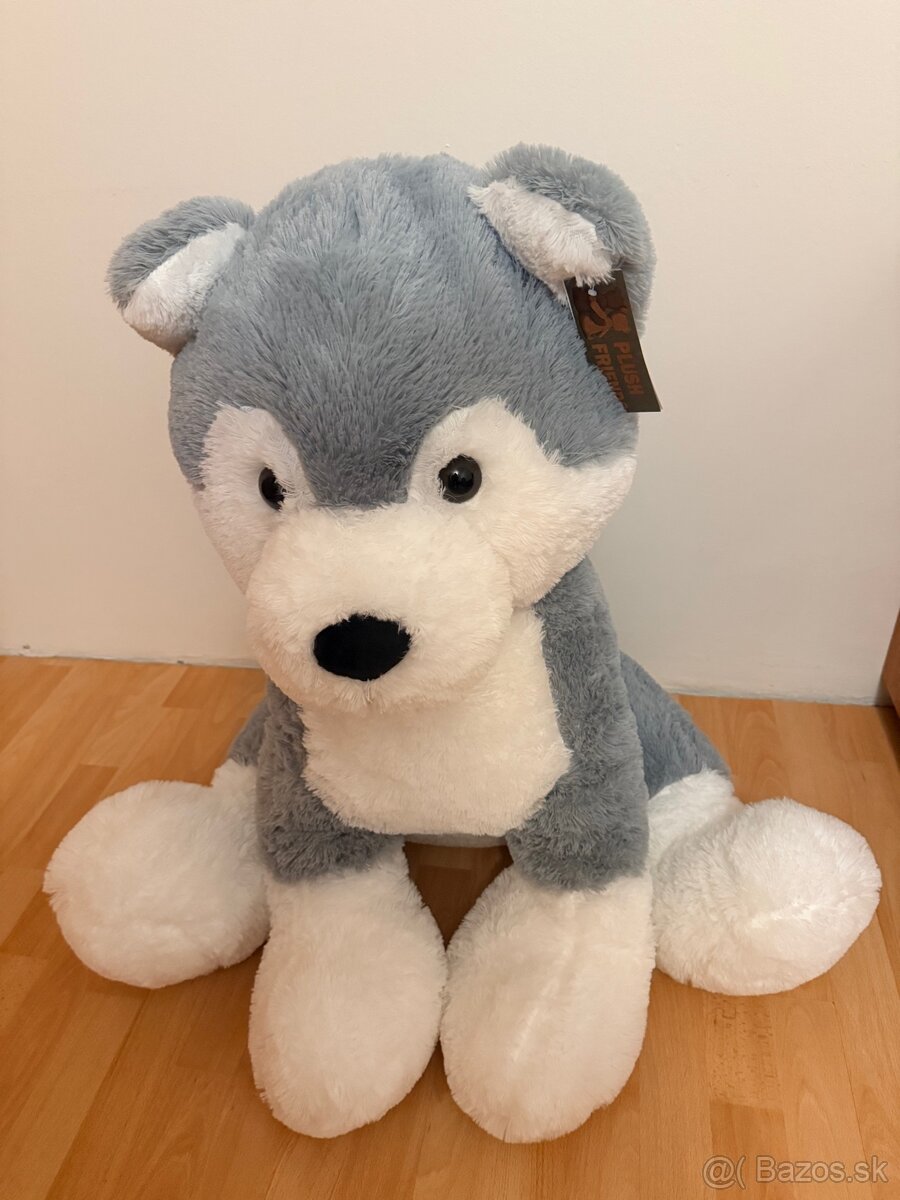 plysovy husky - plush friends - 2
