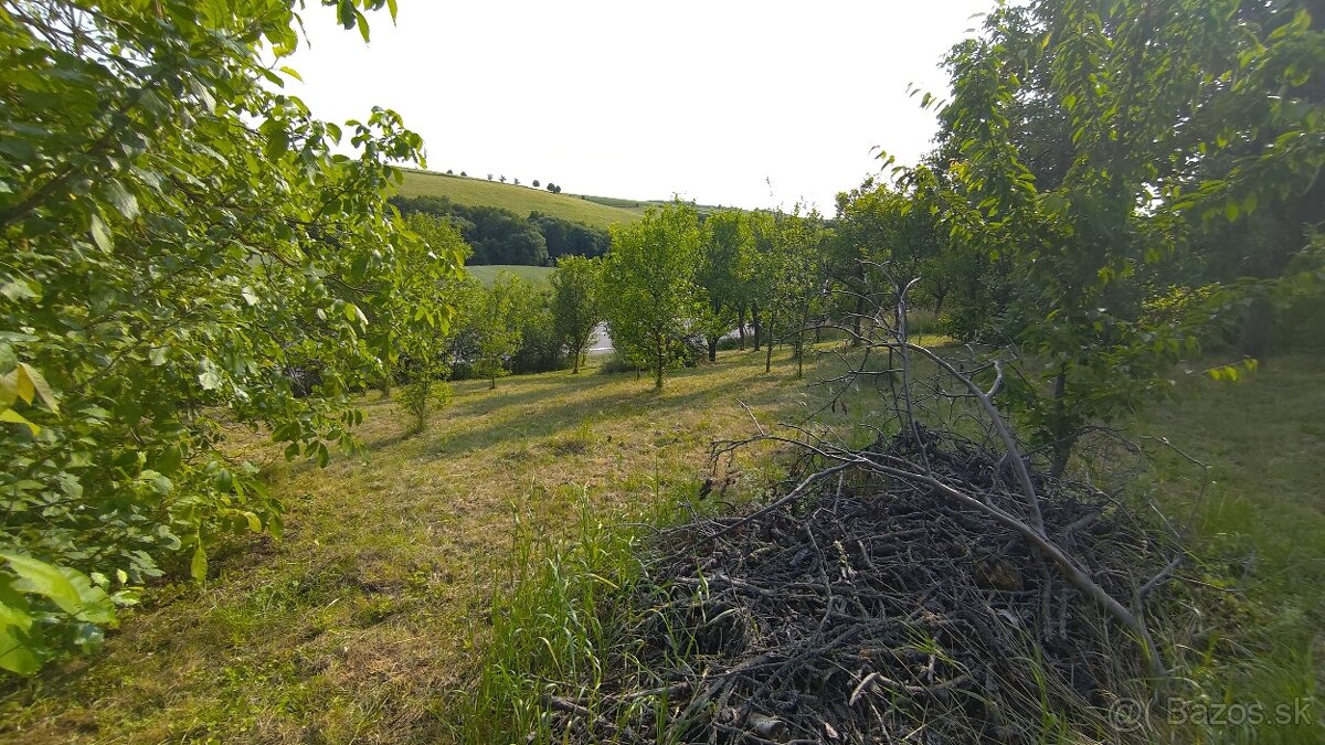 Predám sad pri Myjave 14,00€ m2 - 2