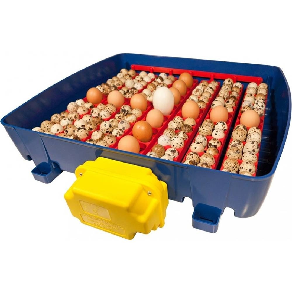 REAL 49 EXPERT - s doliahňou hydiny - 2