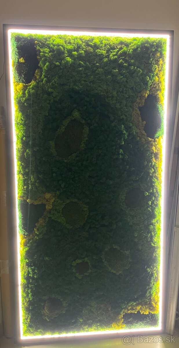 Machový obraz s podsvietením - 2