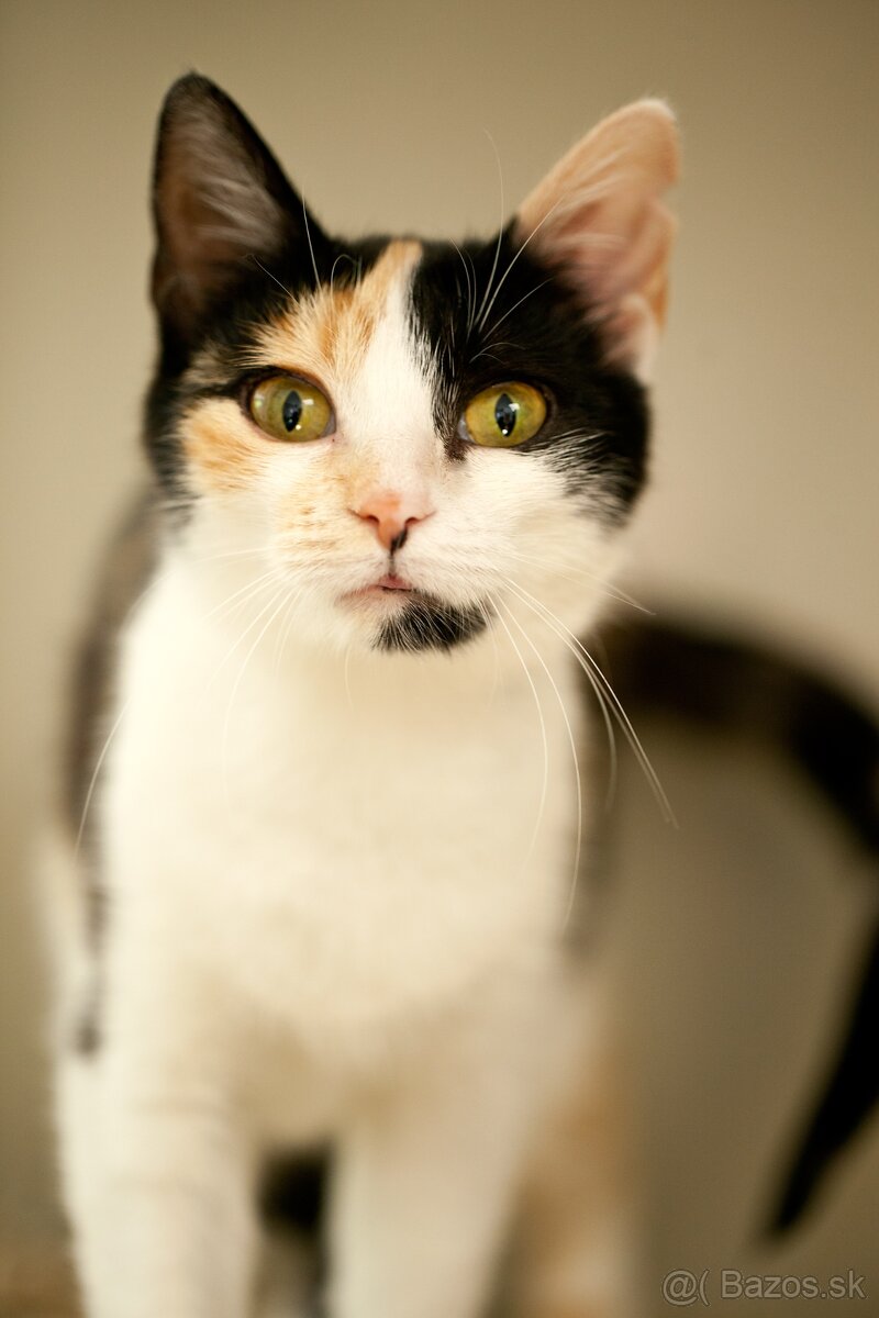 ❤ Priscila - jemná a citlivá dušička - 2