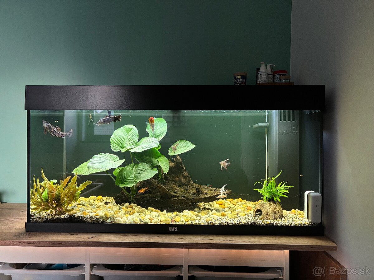 Akvarium JUWEL 200l - 2