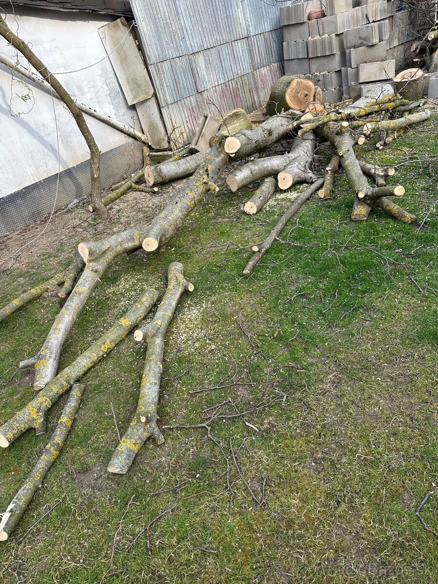 Darujem za odvoz - 2