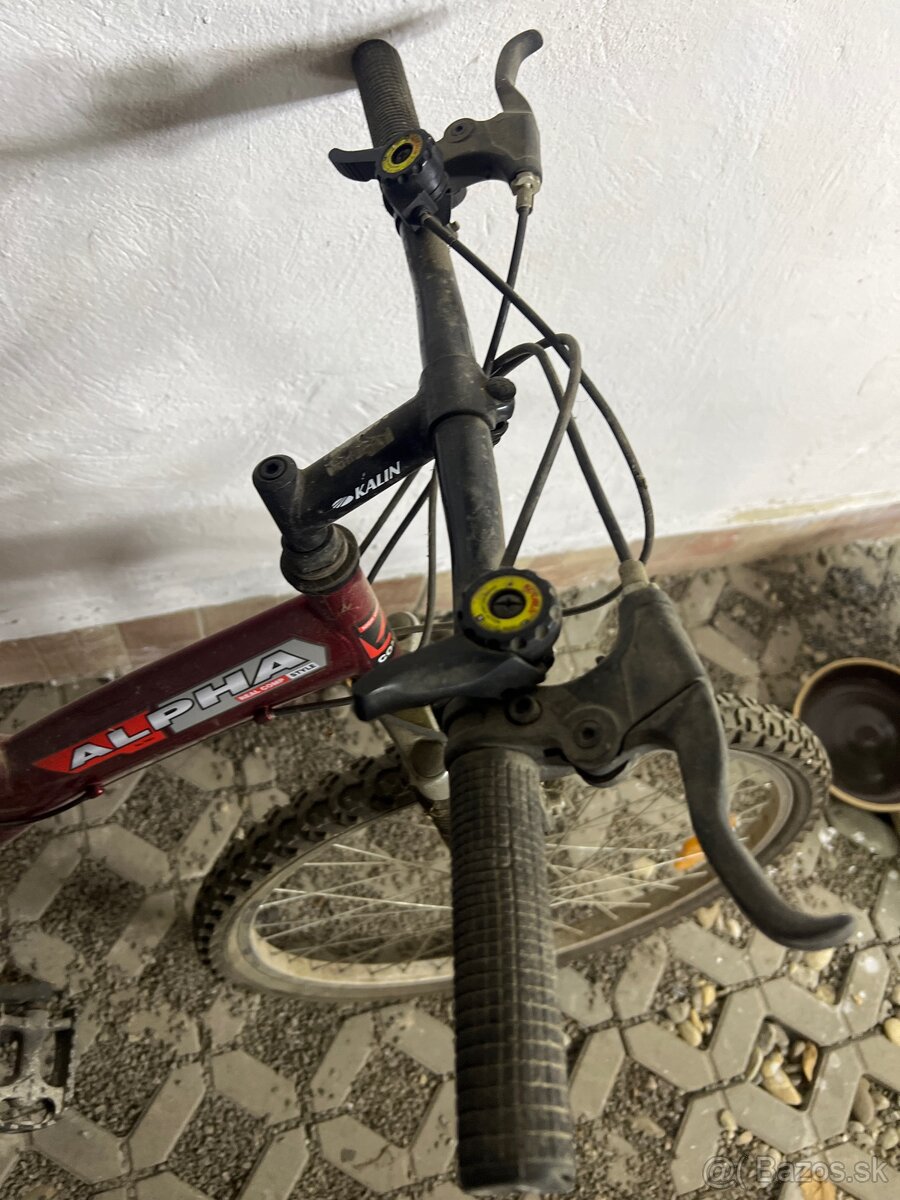 Bicykel Alpha - 2