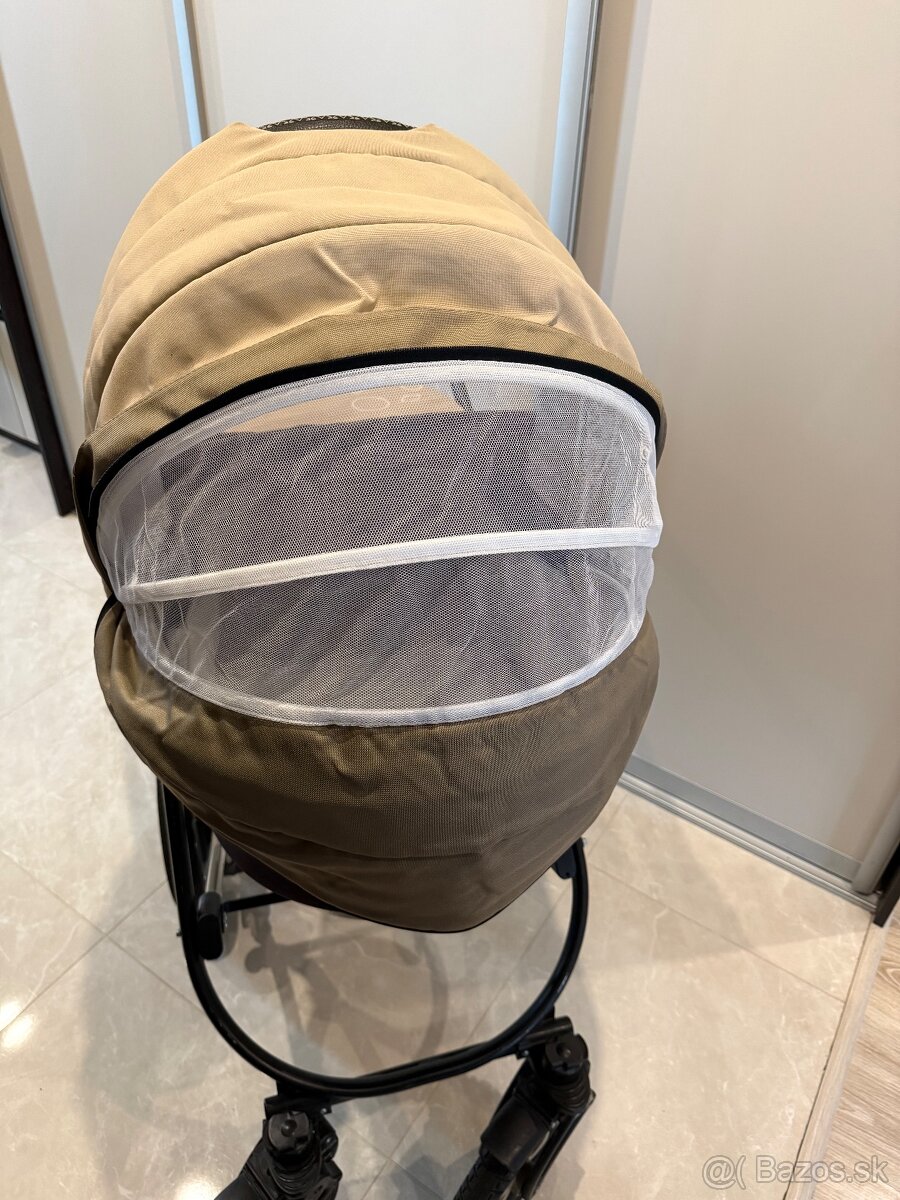 Predam kocik Camarelo - 2