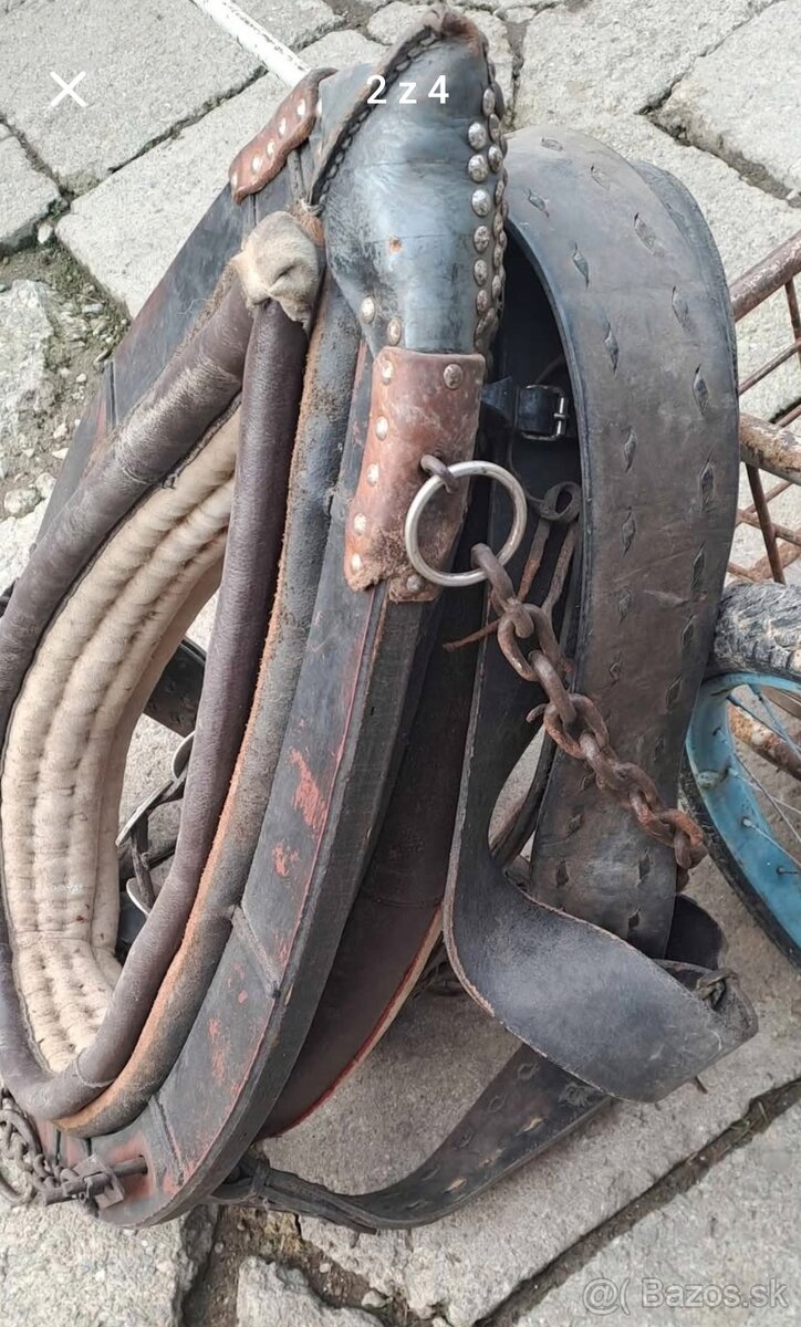 Postroj na koňa - 2