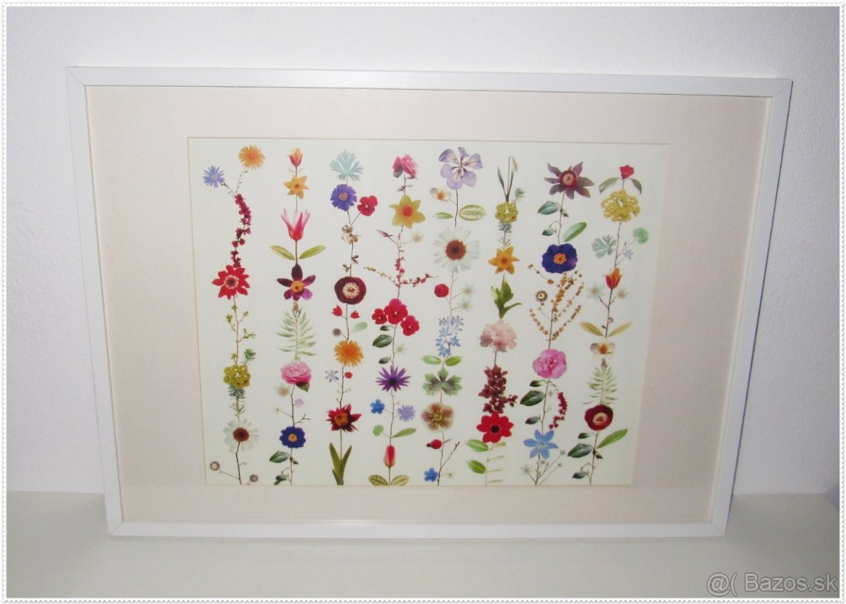 Obraz herbár - veľkosť 52,5 cm x 73 cm - 2