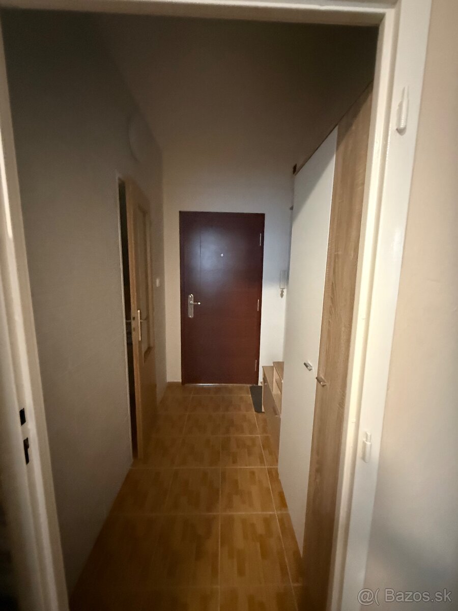 Krásny 1 izbový byt v TO - JUH - 2