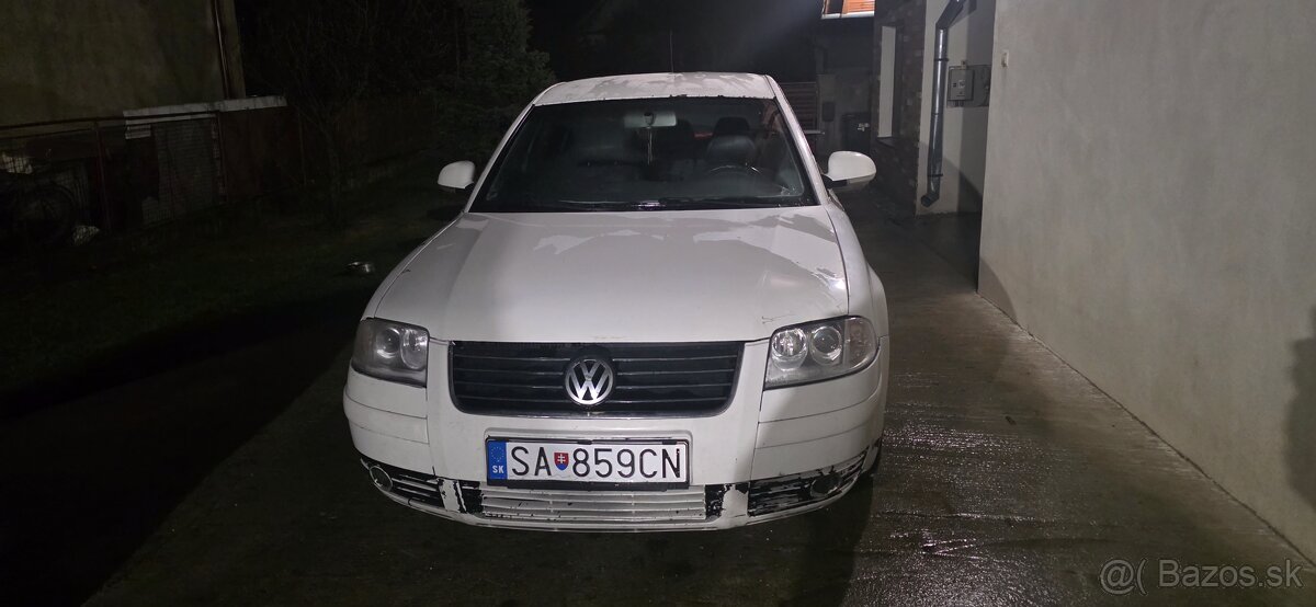 Bieli Passat - 2