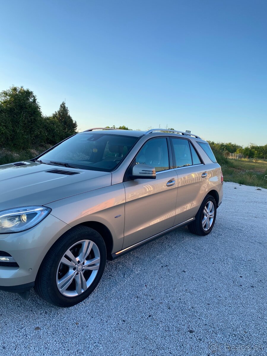 ML 250 - 2
