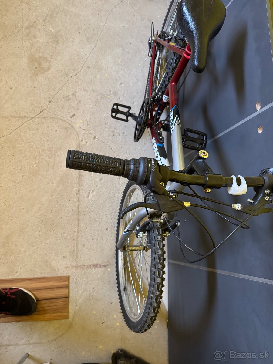 Kenzel 24” junior - 2