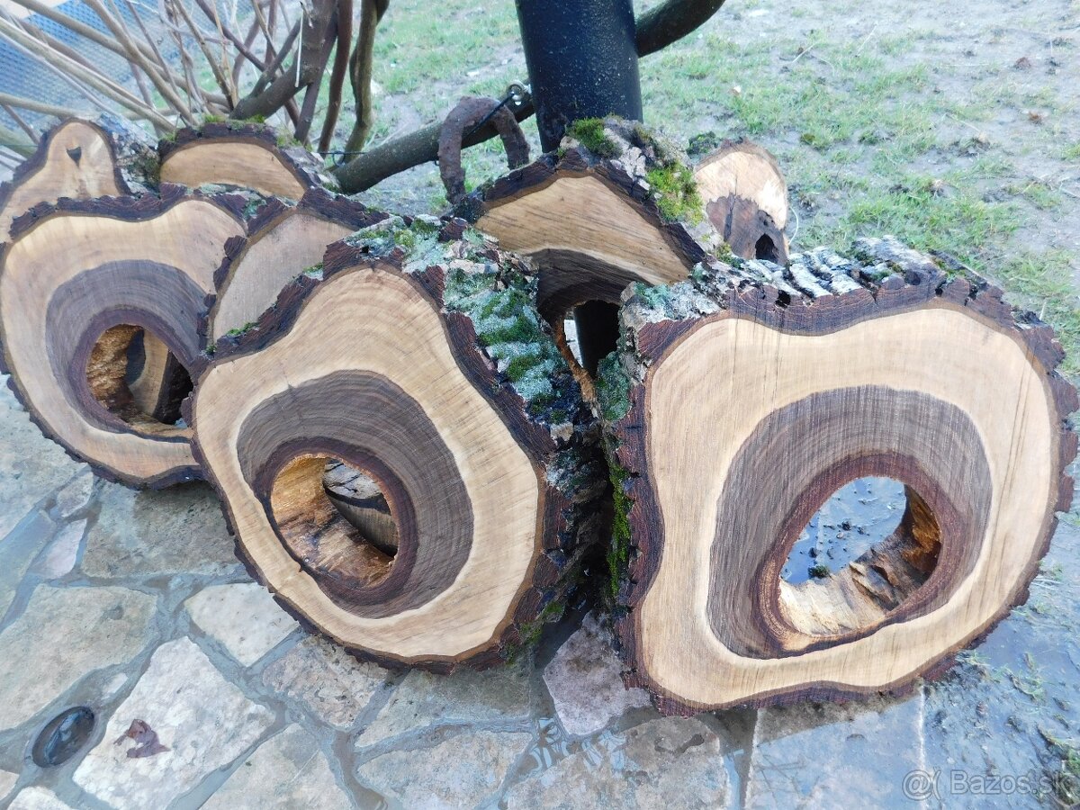 Koláče - orechové drevo, fošne, rezivo - 2