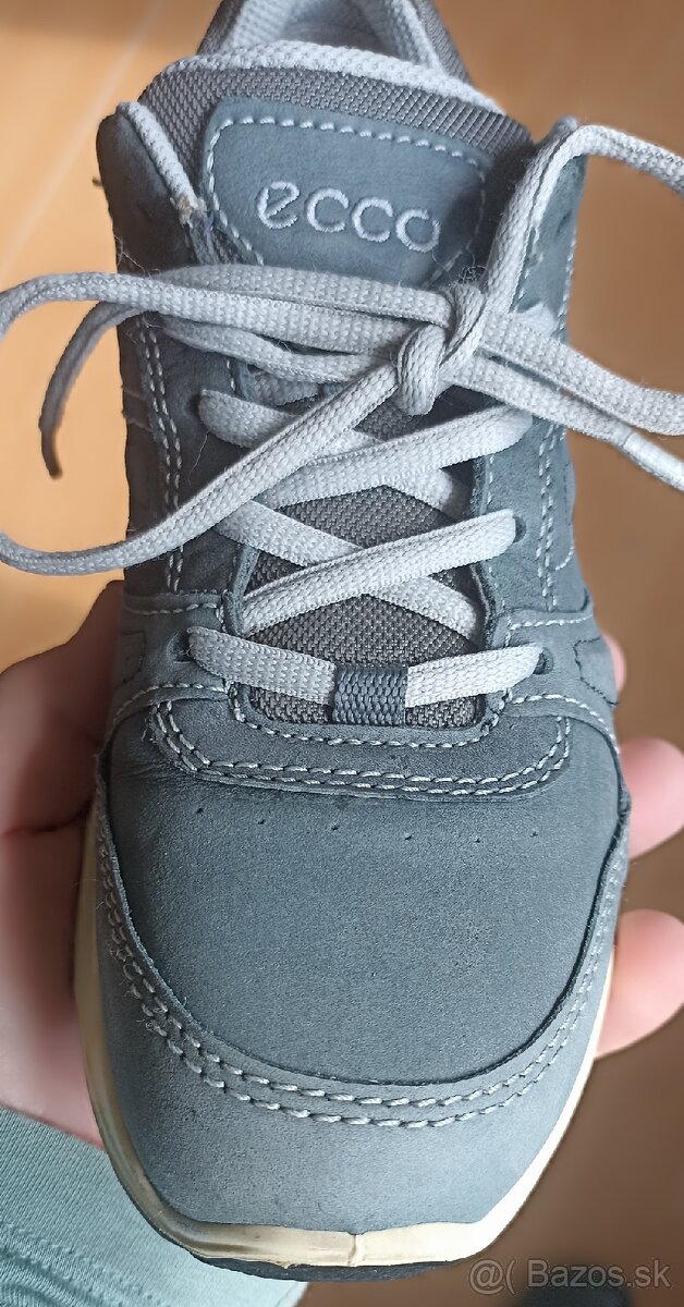 Ecco 38 - 2