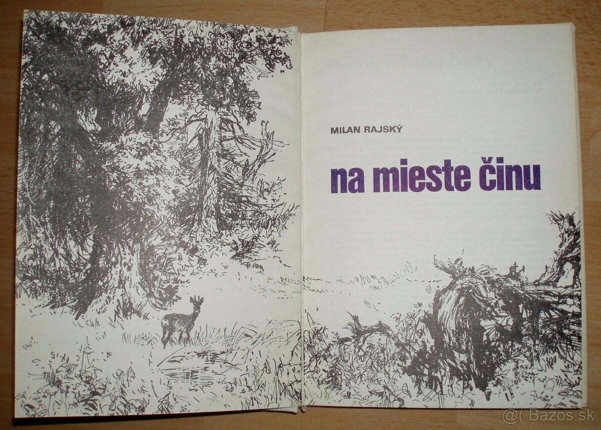 Na mieste činu - 2