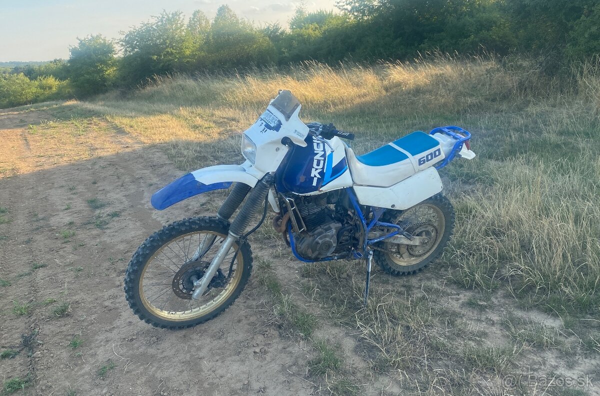SUZUKI DR 600