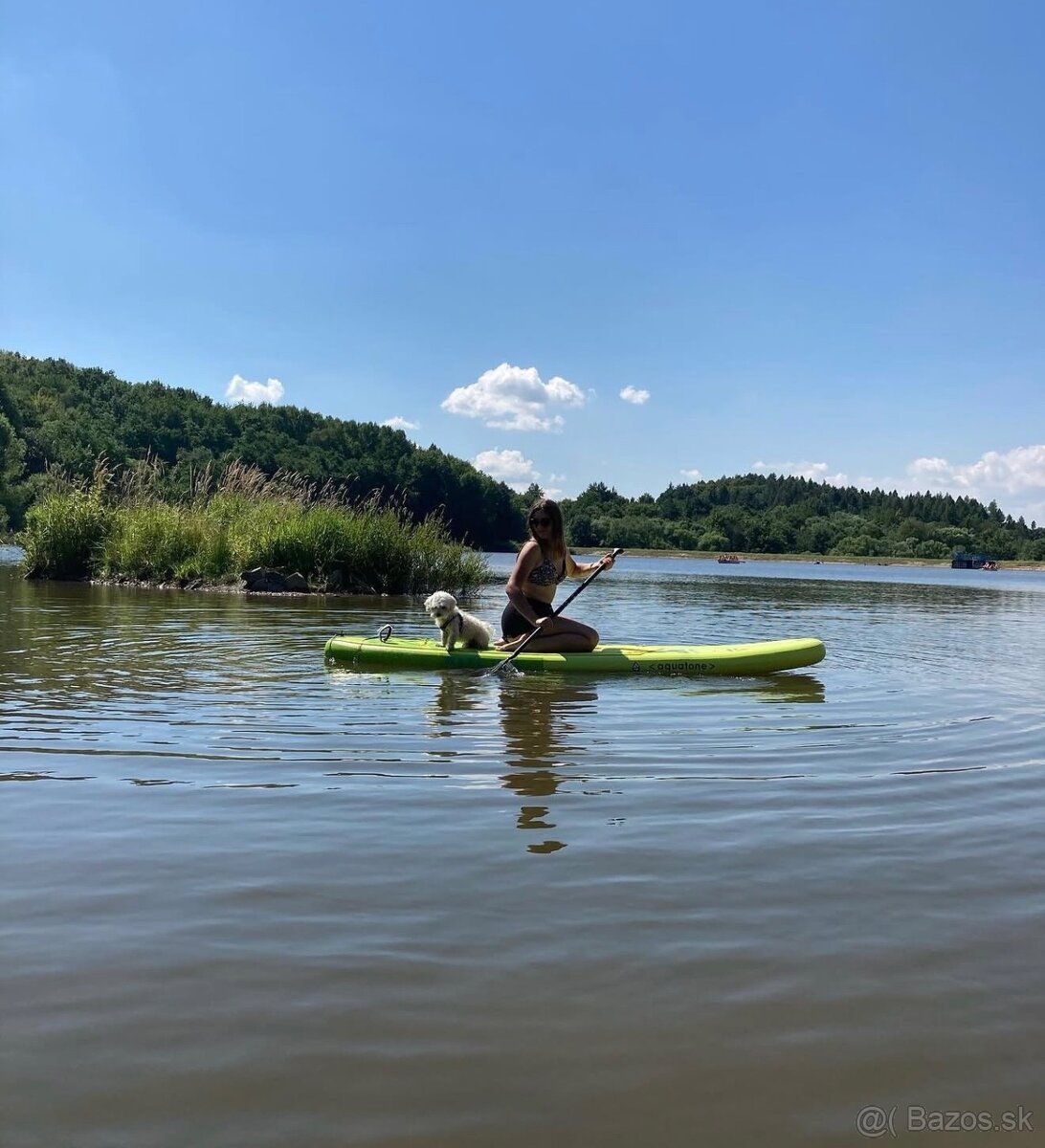 Paddleboard aquatone wave - 2