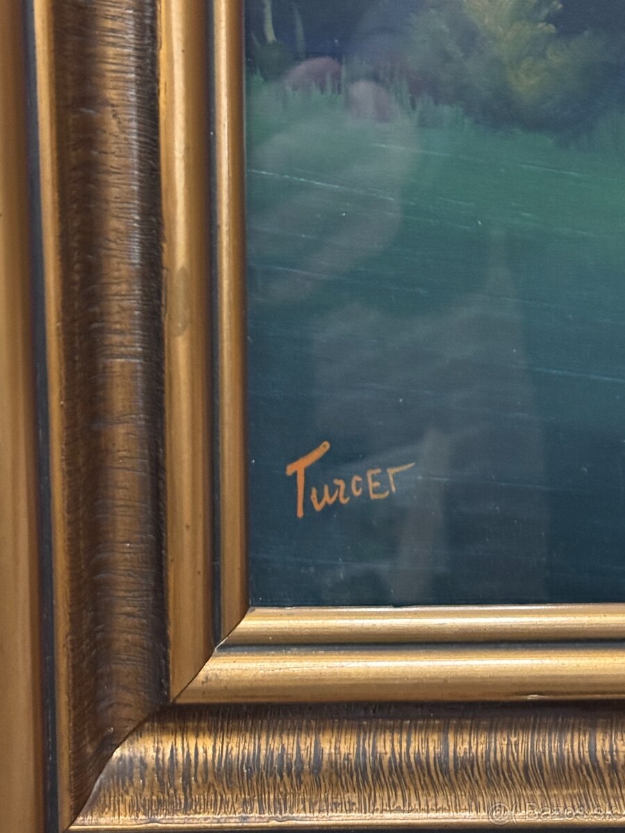 Dezider Turcer - 2
