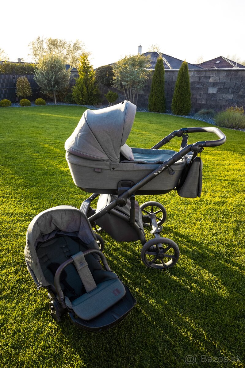 Kočík Roan Bloom - 2