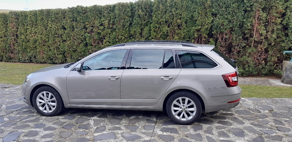 Škoda octavia combi 2.0 tdi 2019 - 2