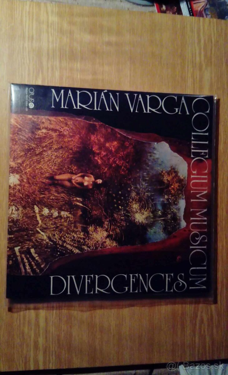 Collegium Musicum - 2