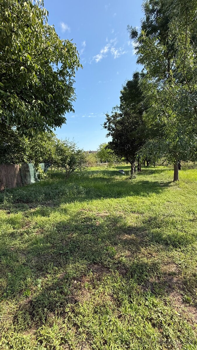 Ponúkam Vám na predaj pozemky v obci Svodov. - 2