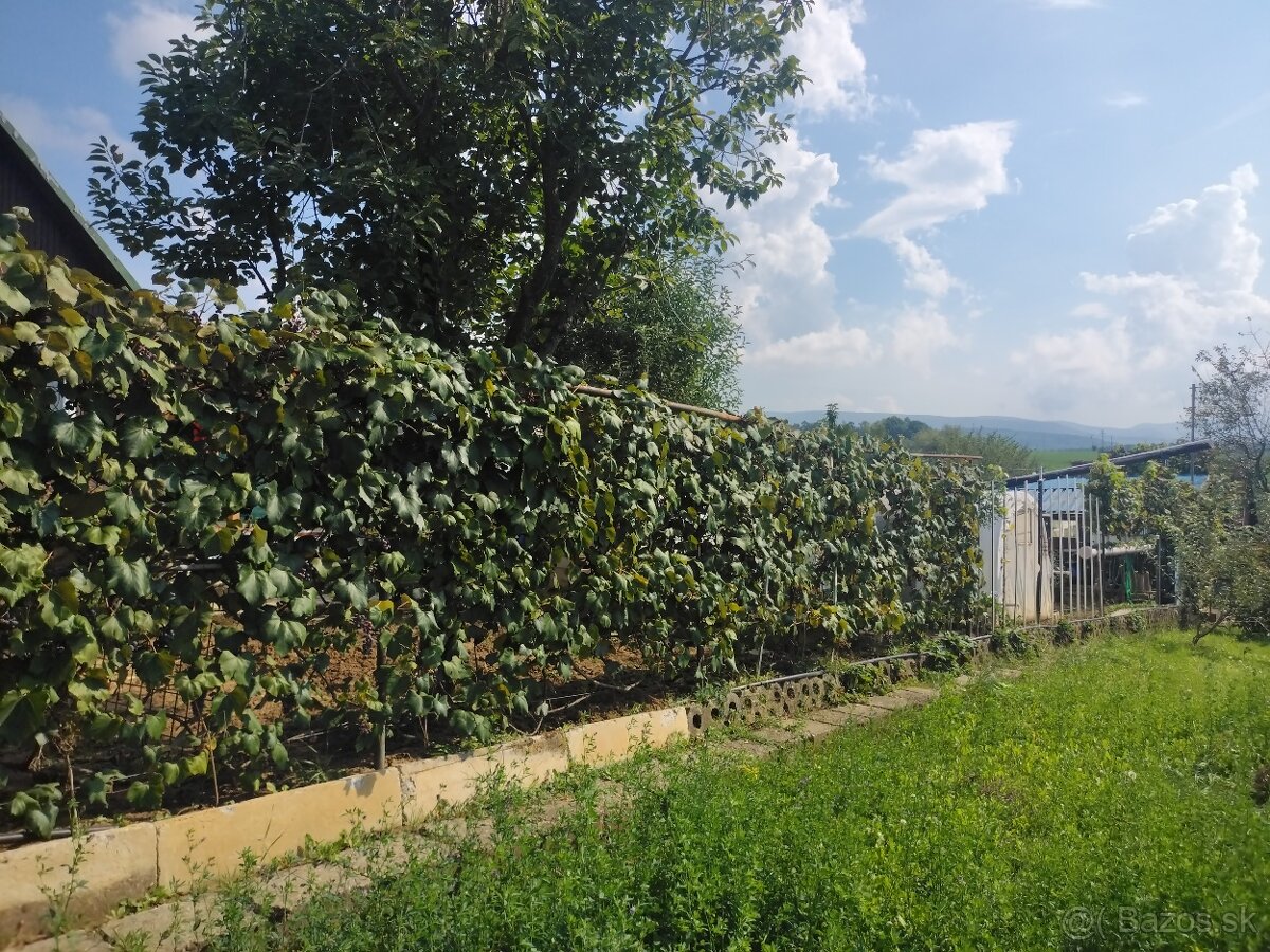 Záhrada s chatou Prievidza - 2