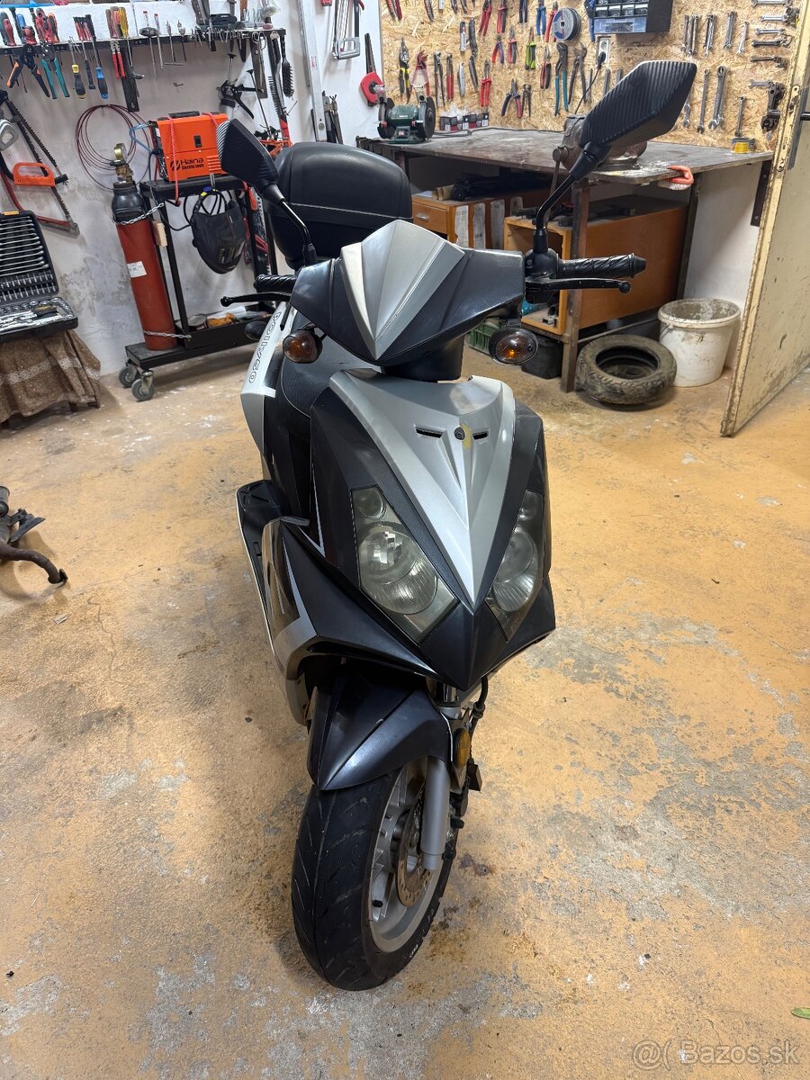 Motorro polly 50 - 2