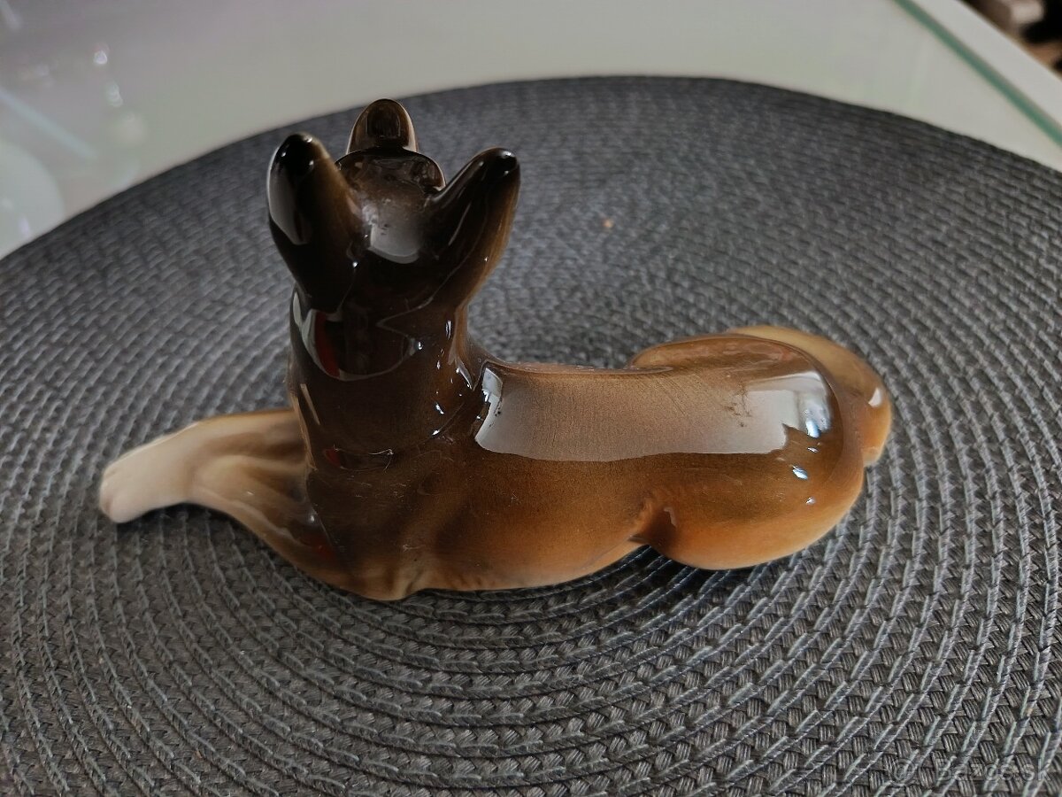 Nemecký ovčiak Royal dux - 2