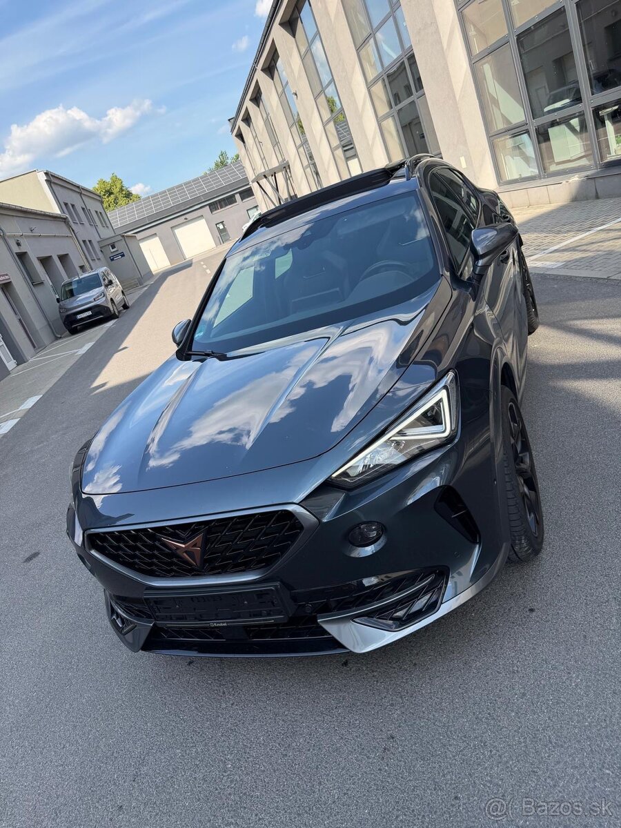 Cupra Formentor 2.0 TSI DSG 4DRIVE - 2